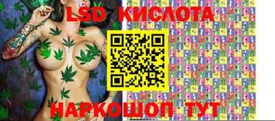 крисы Новоалтайск