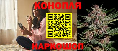крисы Новоалтайск